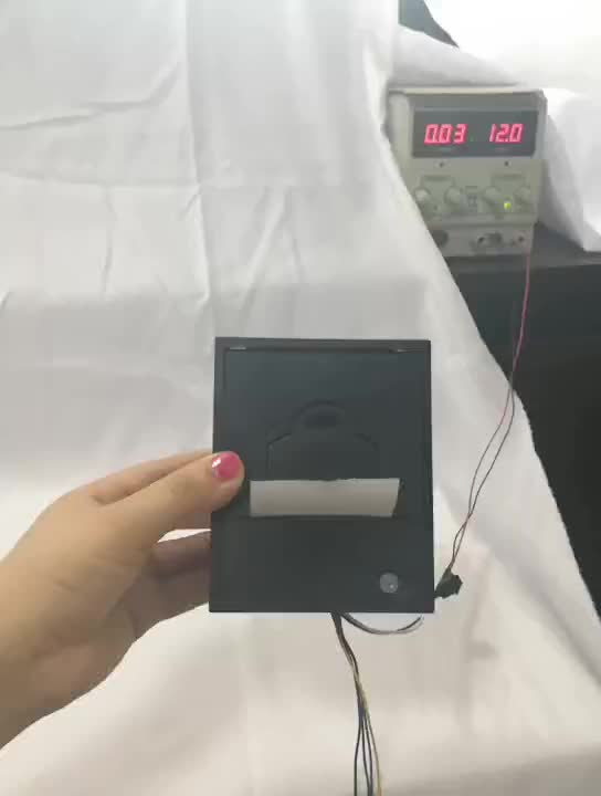 कस्टम थर्मल पैनल प्रिंटर कंपनी निर्माता | HOIN 10