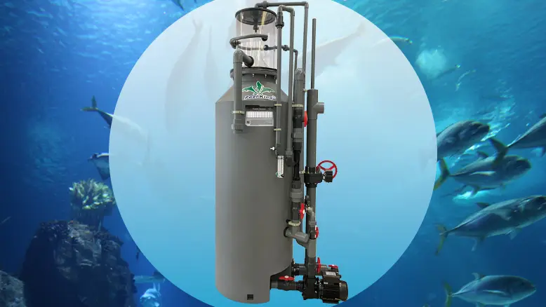 PROTEIN SKIMMER 1