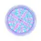 Custom led pool light fixture company Manufacturer | Poolking 2
