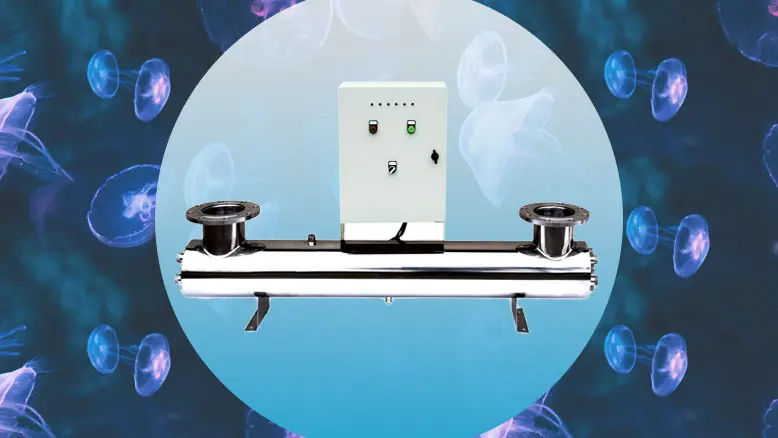 what is salt filter for pool | Poolking