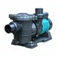 Custom pool and spa pumps company | Poolking 2