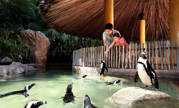 Filtres à sable horizontaux Poolking au zoo de Singapour 2