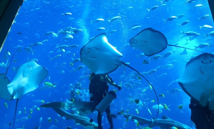 مرشحات الرمل التجارية من Poolking في أتلانتس سانيا 2