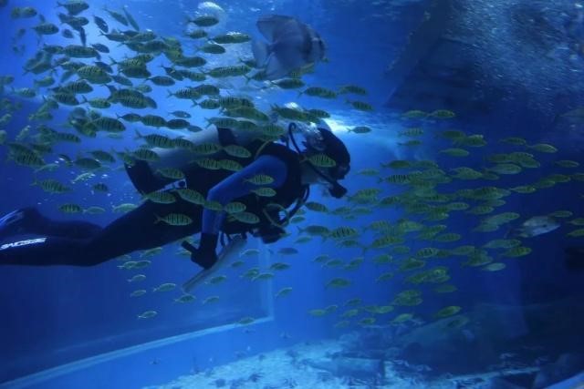 オルドス水族館のプーリング社の水平フィルター 2