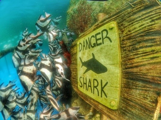 Poolking proporciona centenars de filtres de sorra per a Sanya Haichang Fantasy Town 2