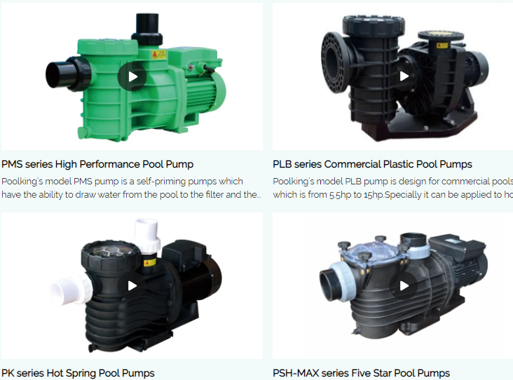 PoolKing Pool Pumps