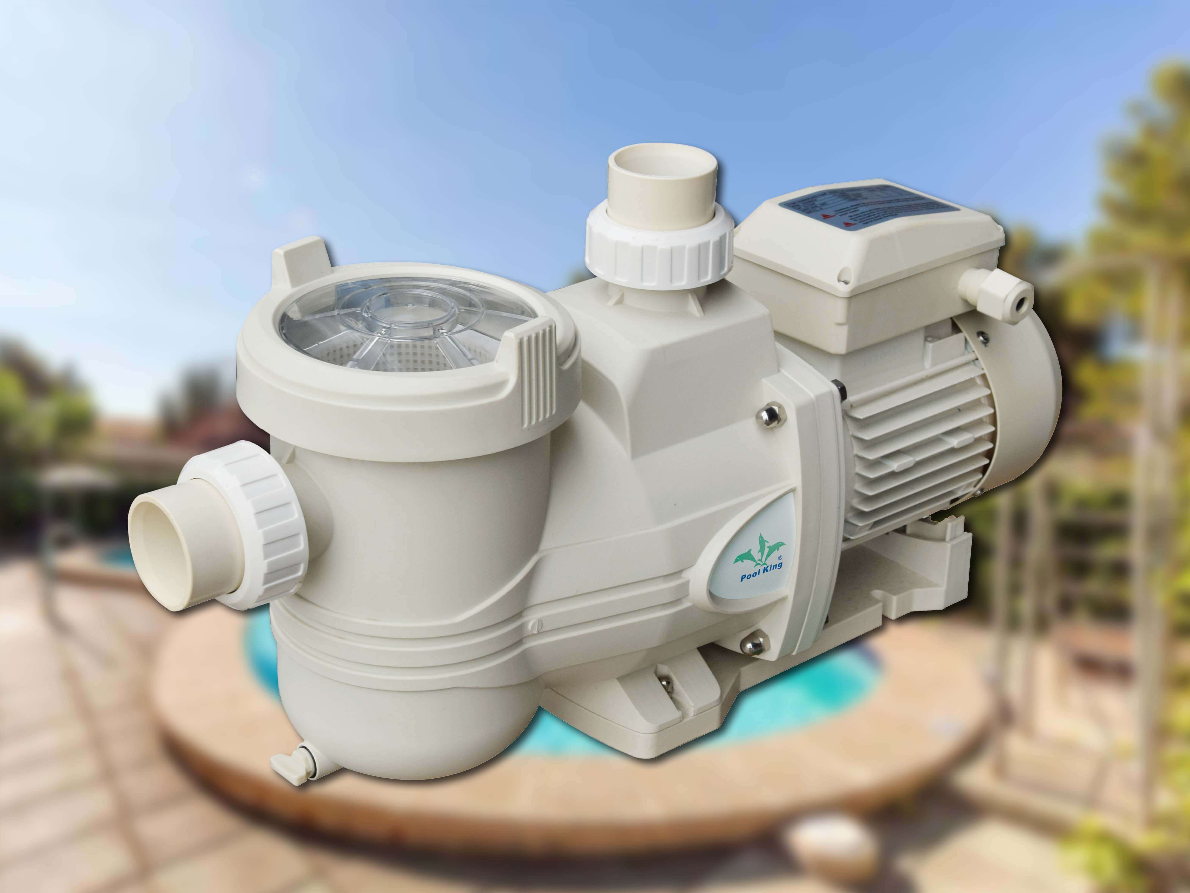 a Pool Pump Cost