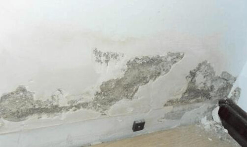 L'inconvénient des piscines intérieures 1