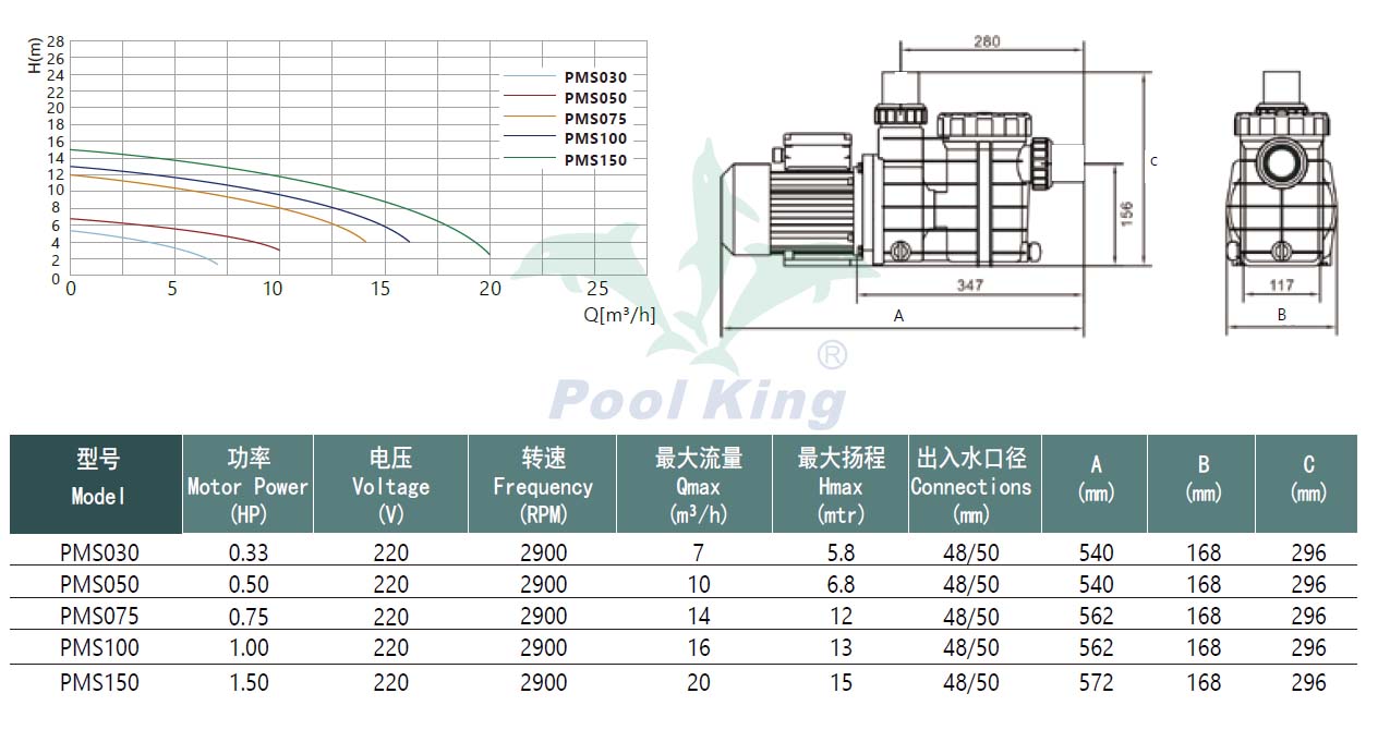 Poolking'in büyük kendinden emişli havuz pompası 1