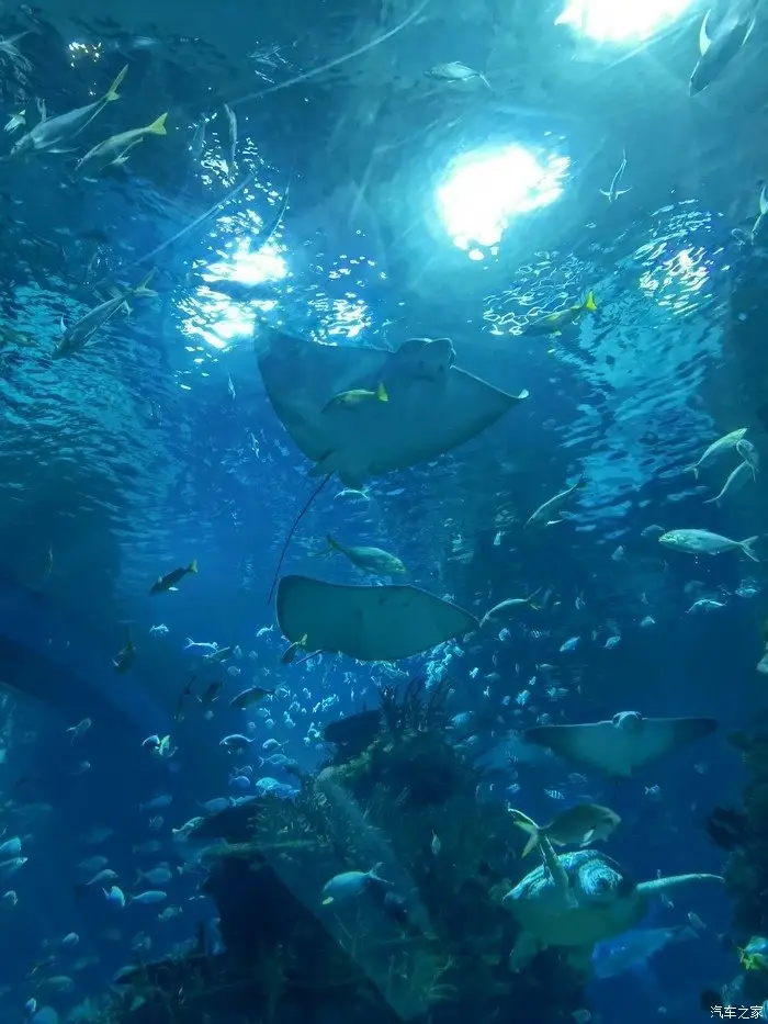 HDPE proteinový skimmer zajišťuje efektivní provoz akvária 1