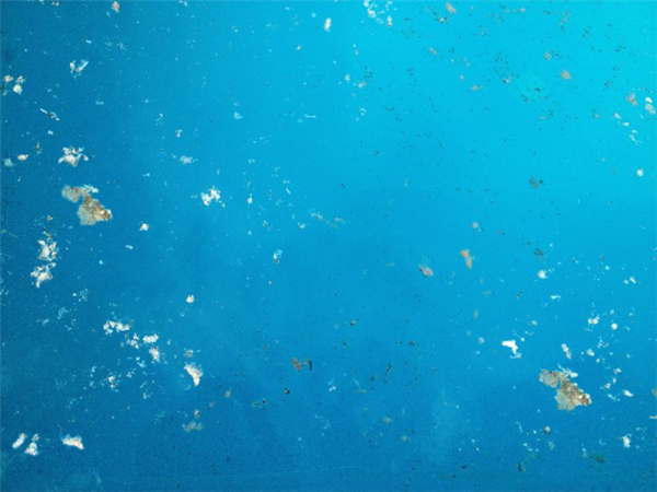 Hur man blir av med vitvattenmögel i en pool 1