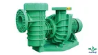 Custom pool spa pump factory Manufacturer | Poolking 1