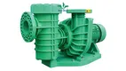 swimming pool pump motor at Wholesale Prices | Poolking 1