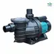 OEM & ODM small pool water pump Price List | Poolking 1