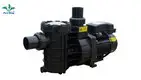 best pool pump for inground pool at Wholesale Prices | Poolking 1