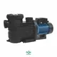 Custom swimming pool circulation pump factory | Poolking 1