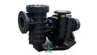 Wholesale underground pool pump company | Poolking 1