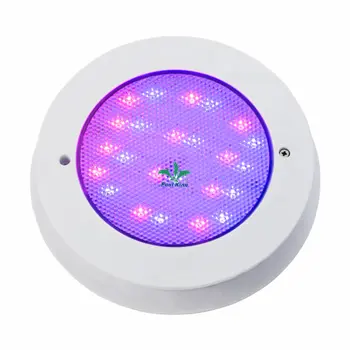 Custom swimming pool waterproof light suppliers Manufacturer | Poolking 1