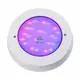 Best 24v pool light factory | Poolking 1