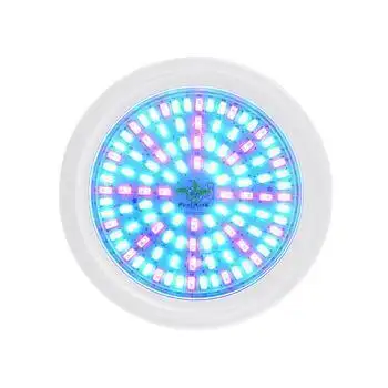 Poolking | Custom underwater lighting for docks suppliers 1