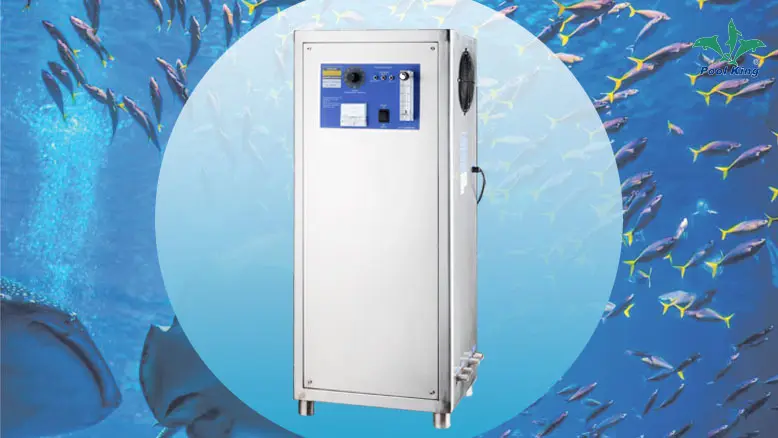 water filter for fish bowl at Wholesale Prices | Poolking 1