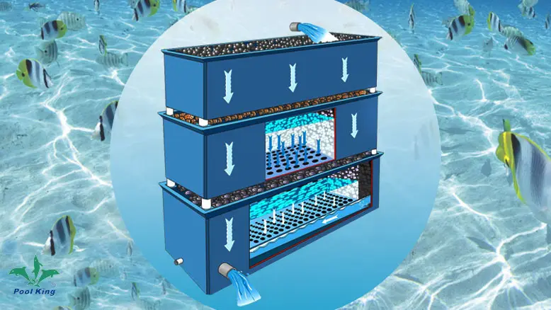 Custom uv sterilizer aquarium freshwater factory Manufacturer | Poolking 1