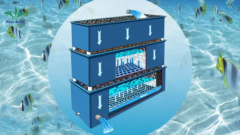 uv light sterilizer for aquarium at Wholesale Prices | Poolking1 1