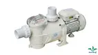 salt water pool pumps for inground pools at Wholesale Prices | Poolking 1