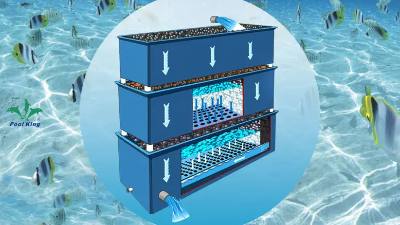 Poolking | Custom pool and spa filtration supply 1