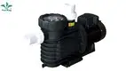 High-quality hot spring pool pumps supply | Poolking 1