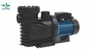Poolking | Wholesale small pool pumps manufacturers 1