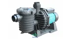 New cheap swimming pool pumps manufacturers | Poolking 1