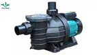 New spa pool pump and heater factory | Poolking 1