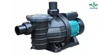 Custom salt water pool pumps for inground pools manufacturers | Poolking 1