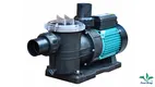 spa pool pump and heater at Wholesale Prices | Poolking 1