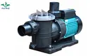 Poolking | Custom pool and spa blower company 1