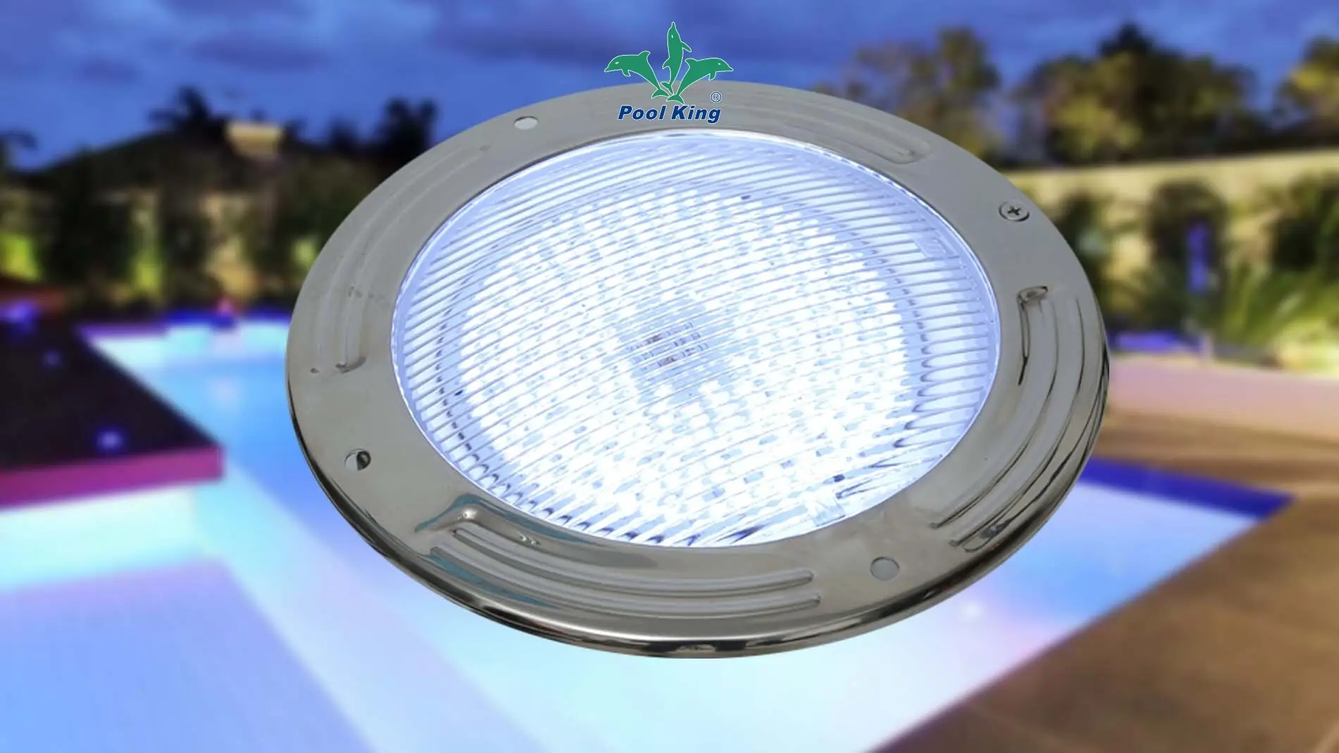 Top types of swimming pool lights company | Poolking 1