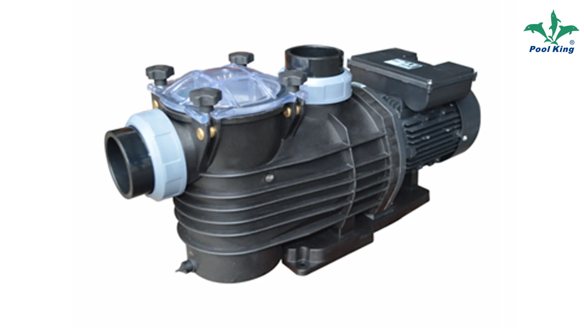 Custom pool and spa pumps company Manufacturer | Poolking 1