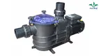 Custom inground pool pump company | Poolking 1