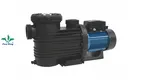 electric swimming pool pump at Wholesale Prices | Poolking 1