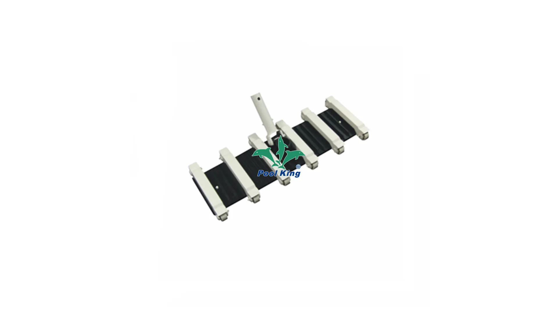 Poolking | High-quality large swimming pool pump and filter suppliers 1