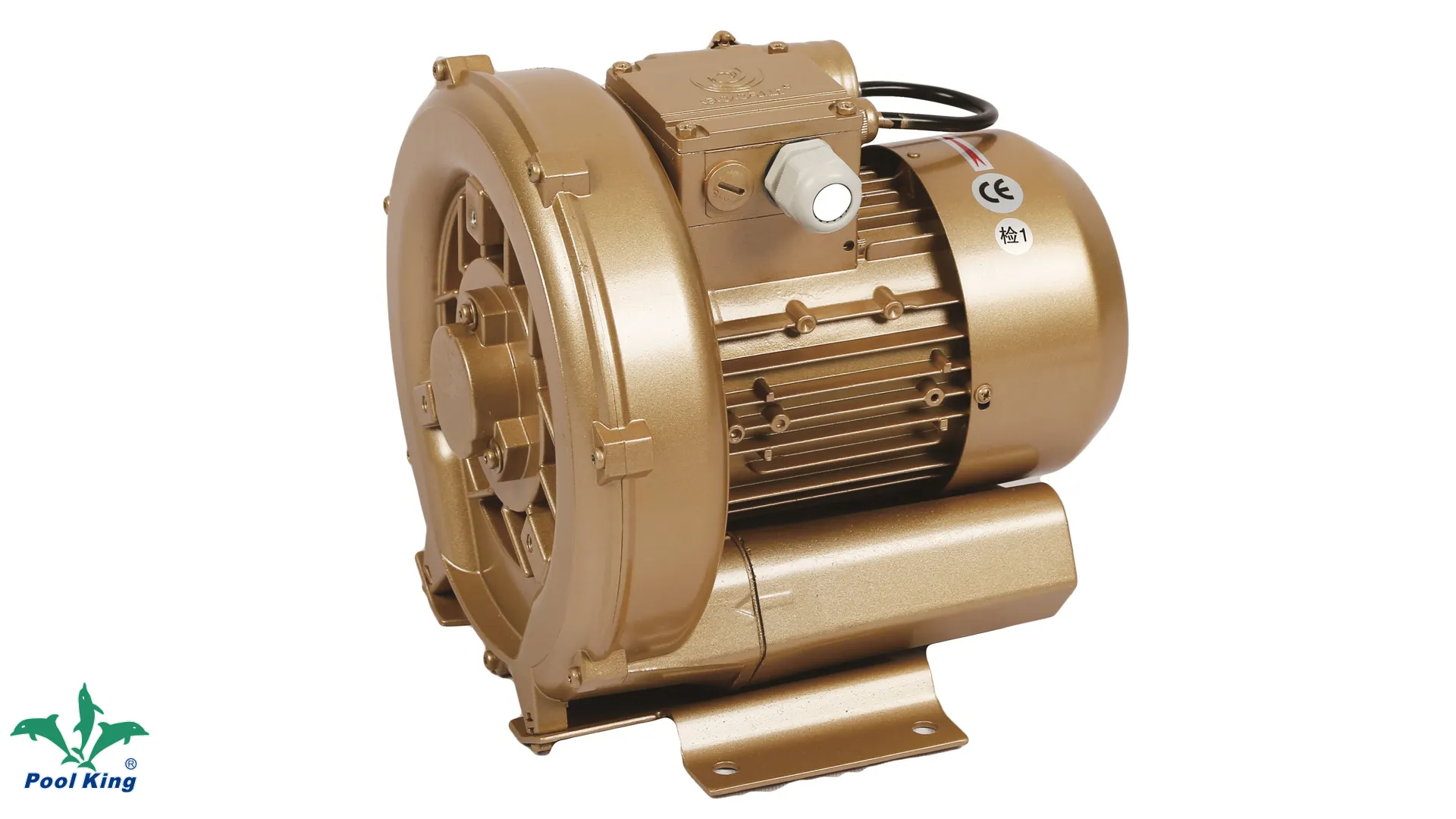 Wholesale pool pumps company | Poolking 1