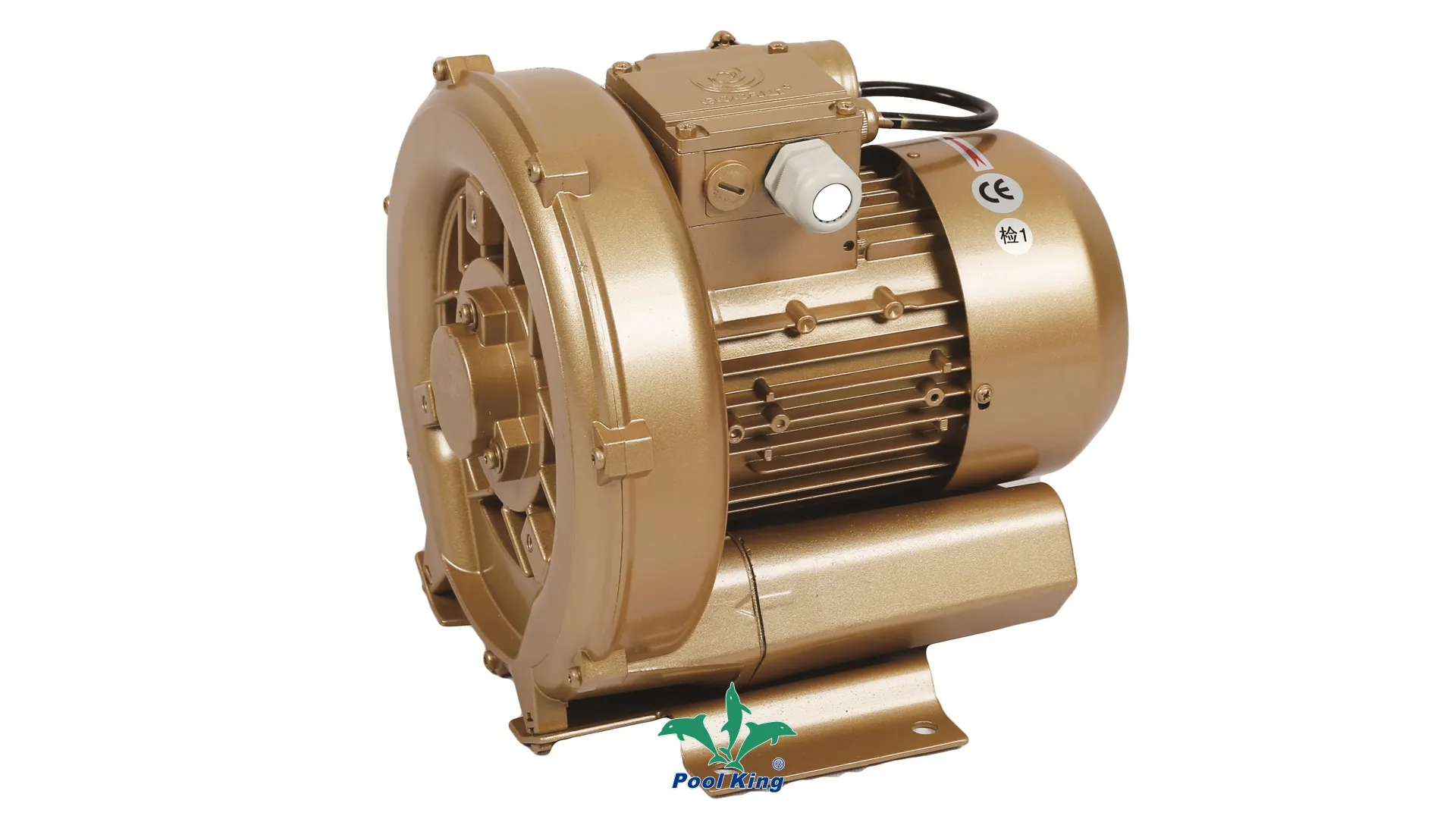 Custom spa water pump supply Manufacturer | Poolking 1