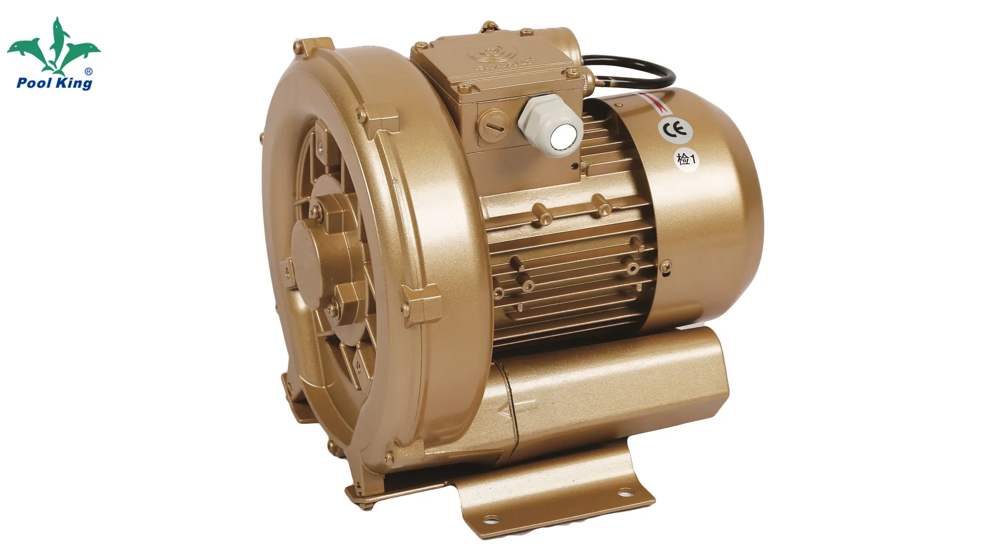 Custom pool and spa pumps factory | Poolking 1