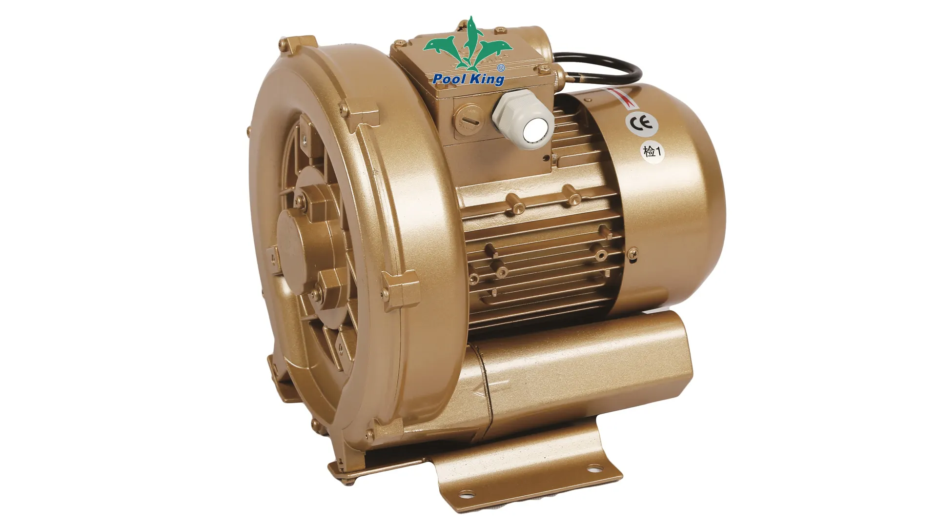 Custom swimming pool filter pump suppliers Manufacturer | Poolking 1