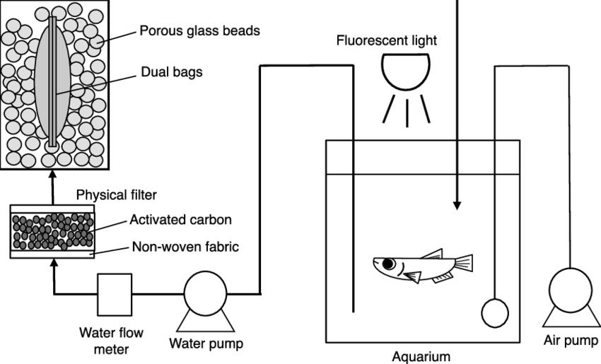Collaborative Design of Large Sand Filters and Aquarium Water ...