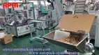 Custom machine assembly line manufacturers Manufacturer | APM PRINT 2