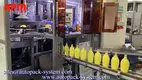 custom label hot stamping machine factory | APM PRINT 2