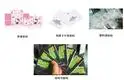 wine labeling machine at Wholesale Prices | APM PRINT 11