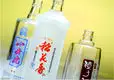 APM PRINT | high-quality bottle screen printing machine for business 5